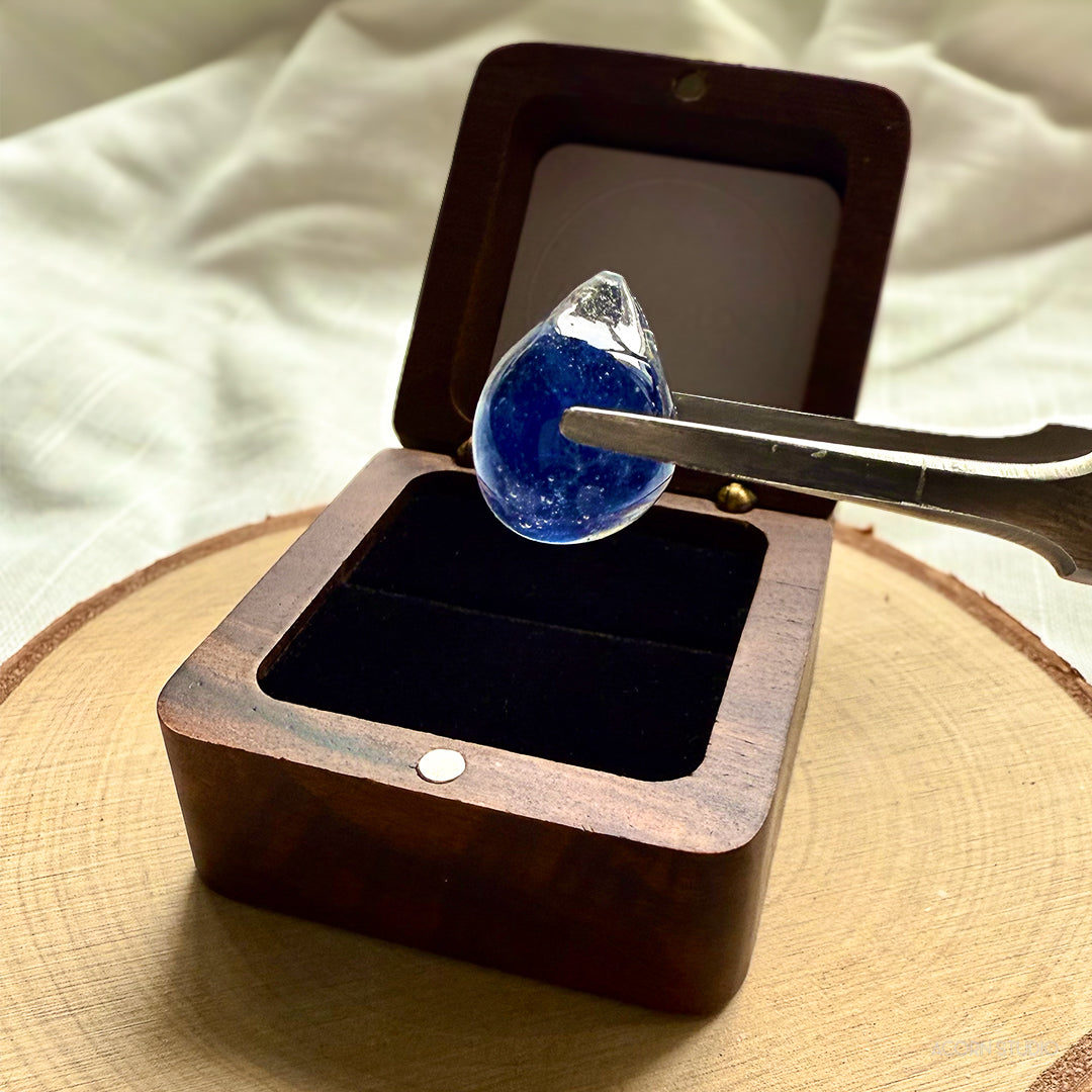 The Cambrian Sea – Heart of Life