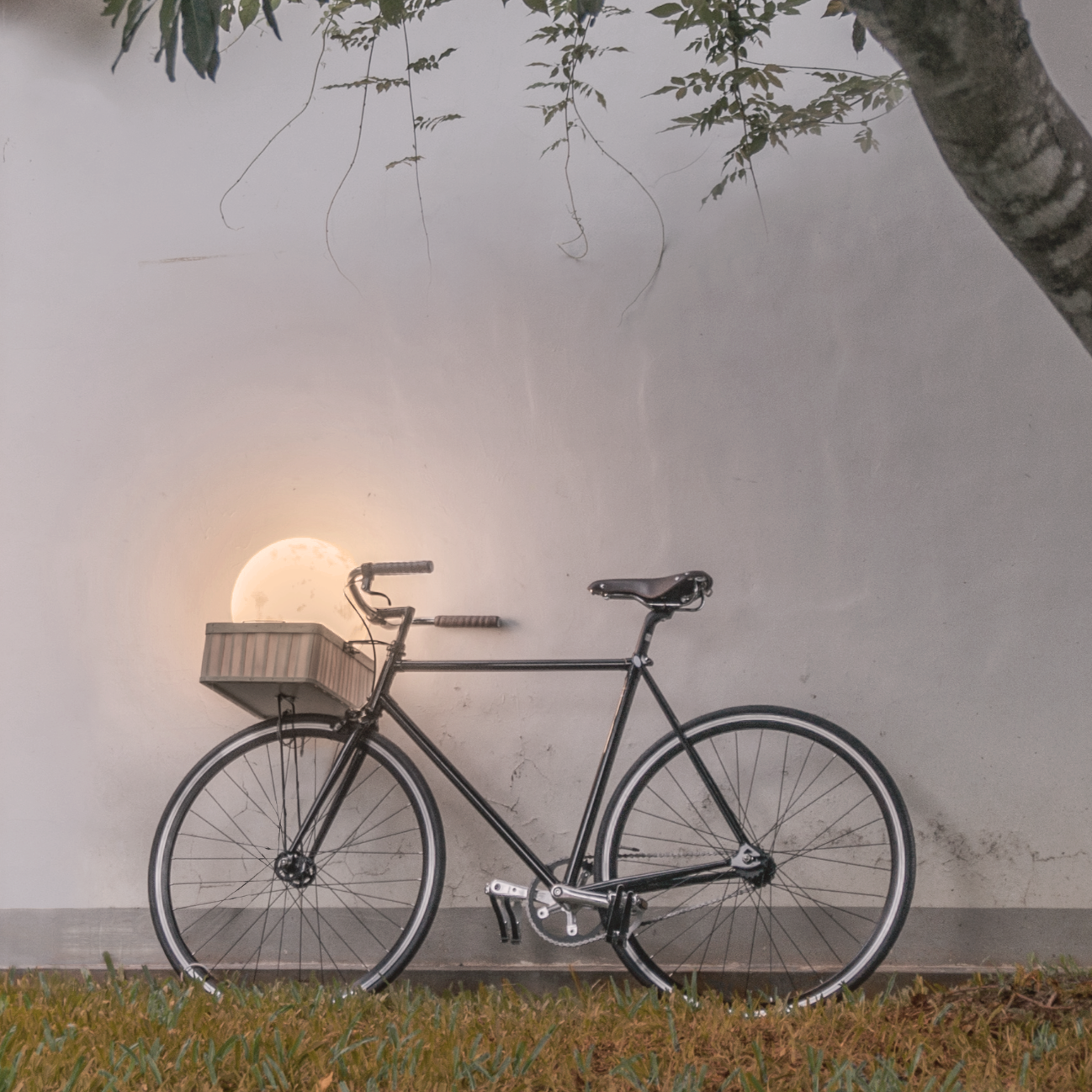 LUNA II (30cm)