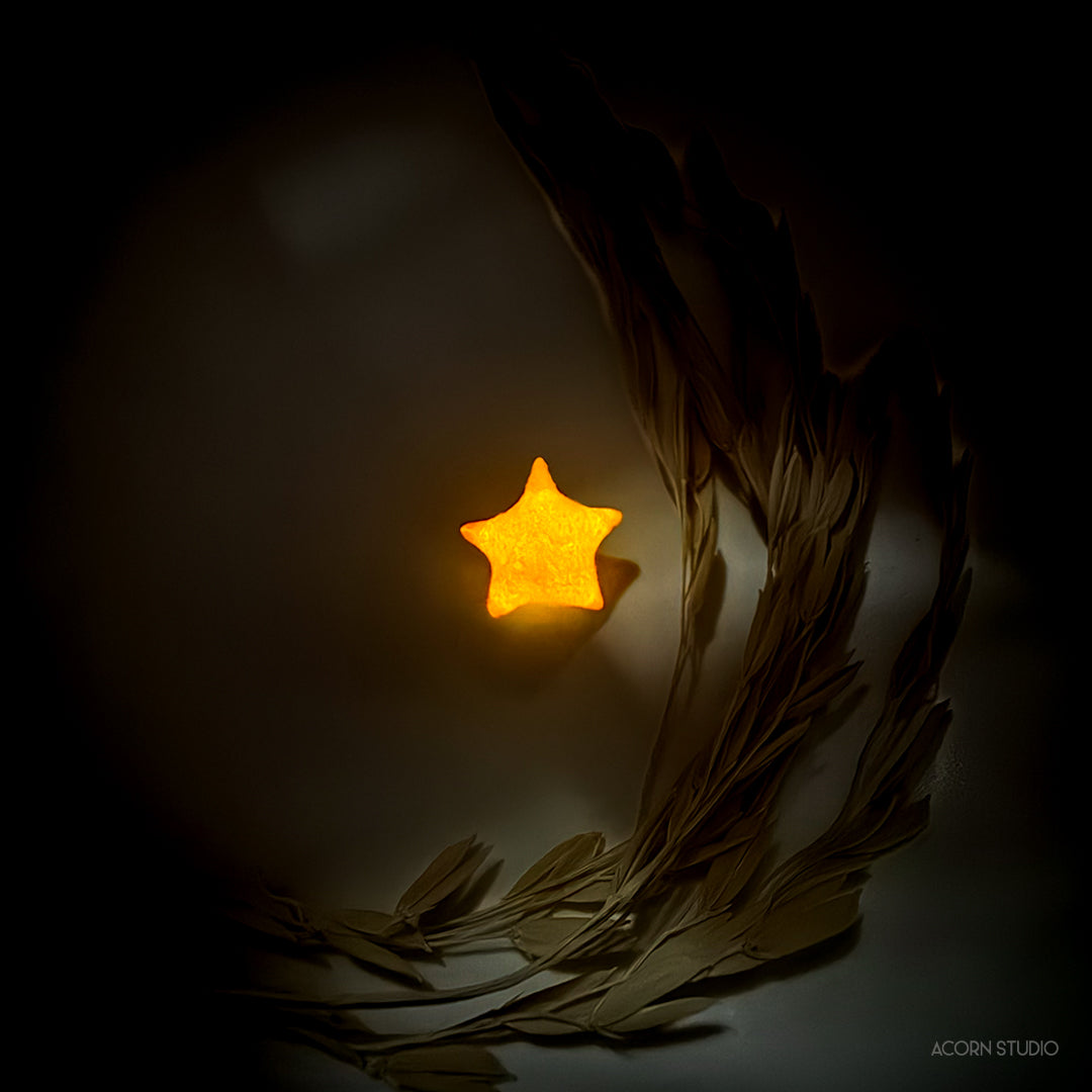 Alpha Carinae – Canopus