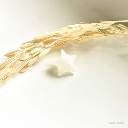 Alpha Carinae – Canopus