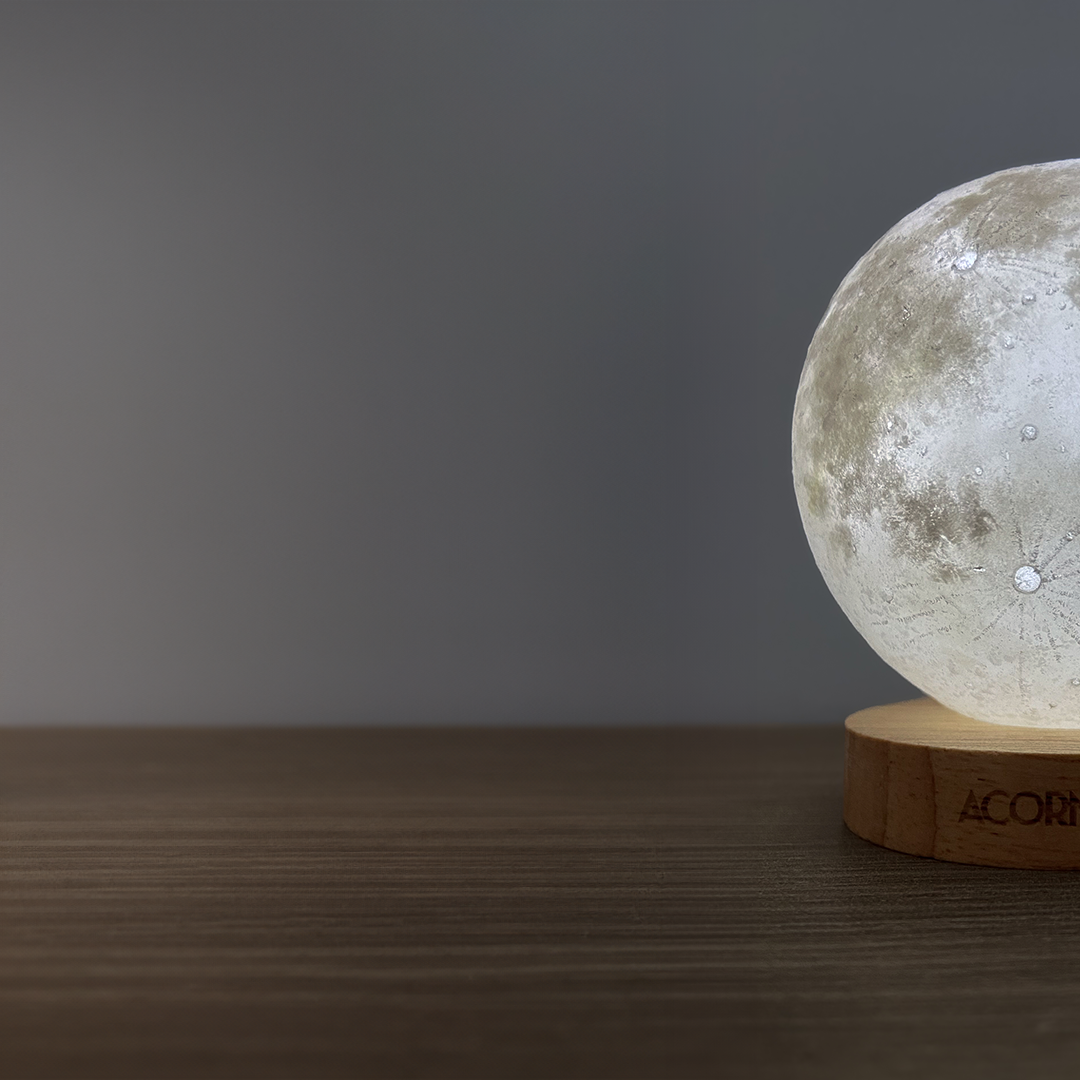 夏月 Estival LUNA (8cm)