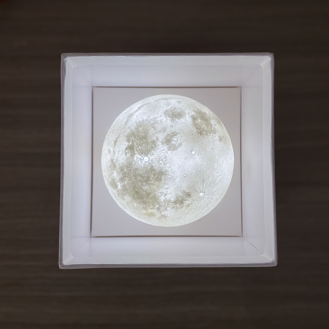 夏月 Estival LUNA (8cm)