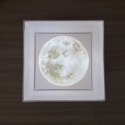 夏月 Estival LUNA (8cm)