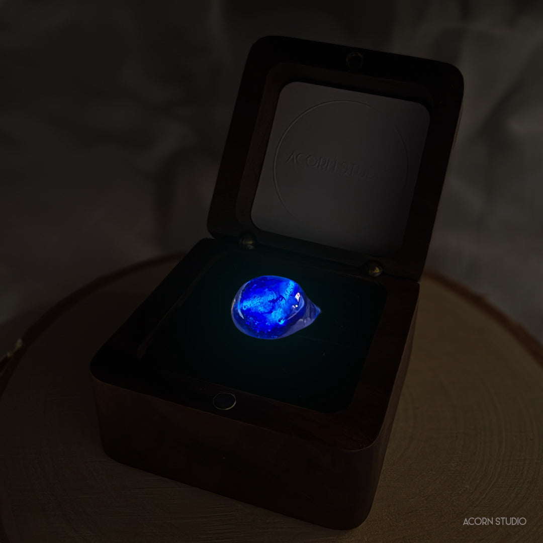 The Cambrian Sea – Heart of Life