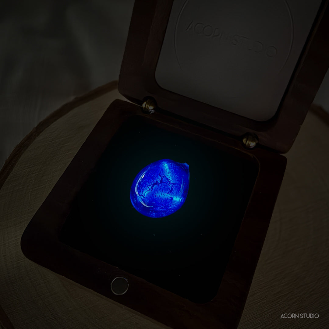 The Cambrian Sea – Heart of Life