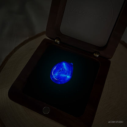 The Cambrian Sea – Heart of Life