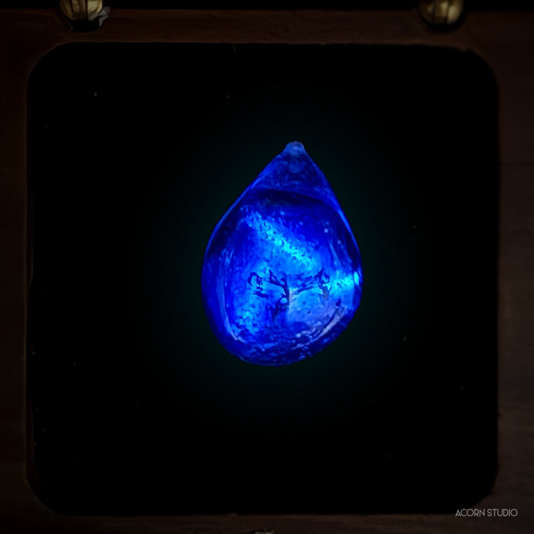 The Cambrian Sea – Heart of Life