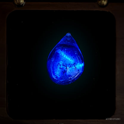 The Cambrian Sea – Heart of Life