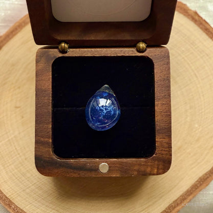 The Cambrian Sea – Heart of Life