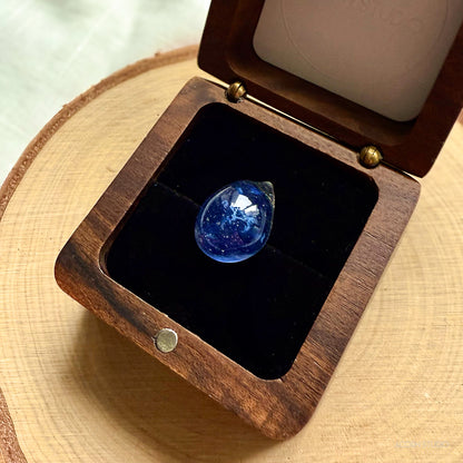 The Cambrian Sea – Heart of Life