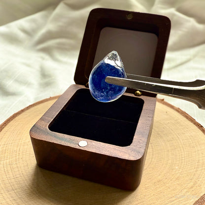 The Cambrian Sea – Heart of Life