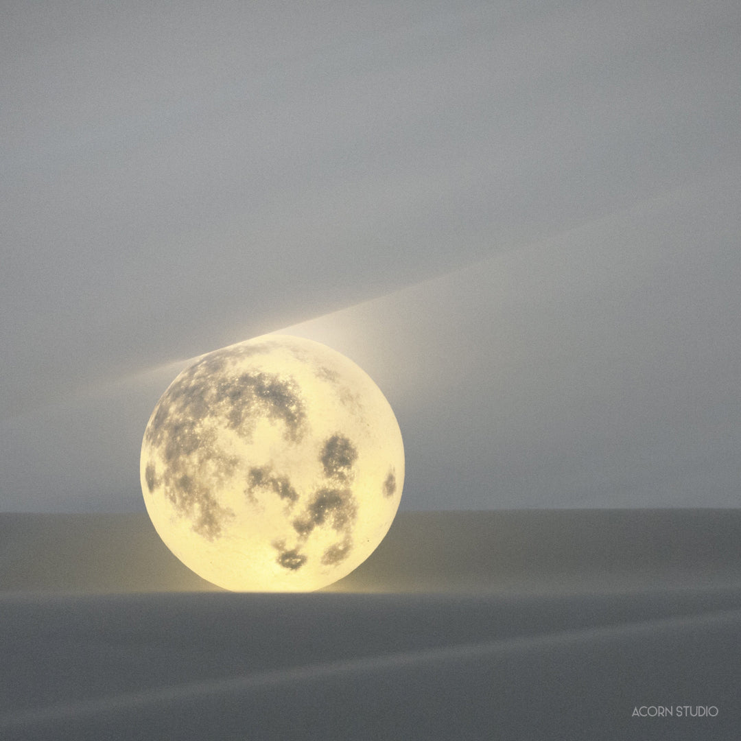 LUNA Mini (8cm) – Acorn Studio