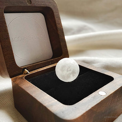 Full Moon - (Moonrise)